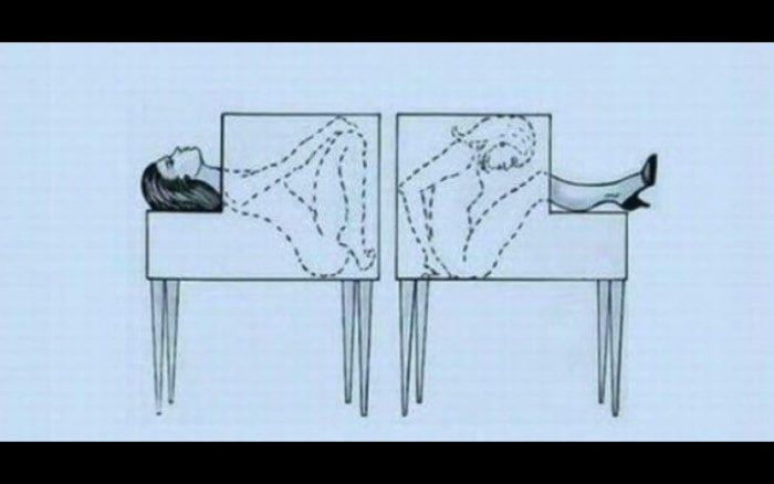Cutting Assistant in Half – Anatomy of the Illusion