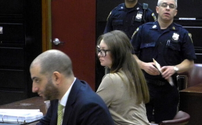 A photo of Anna Delvey in court.