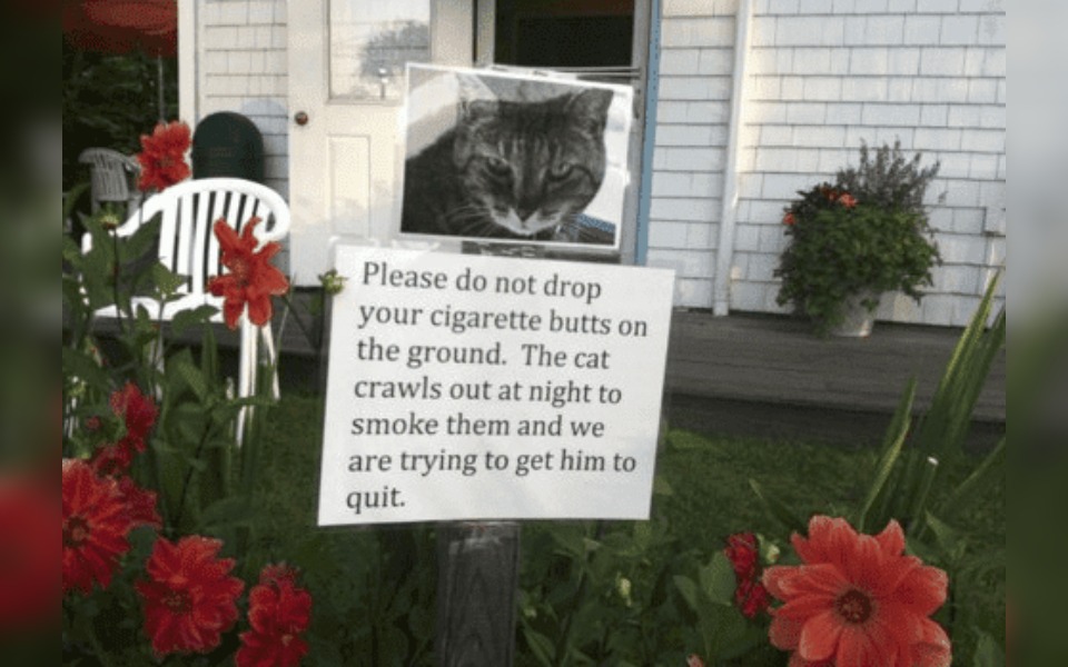 Think Before You Smoke and Drop Cigarettes