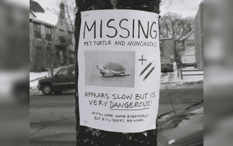 A street poster that reads "missing a pet turtle"