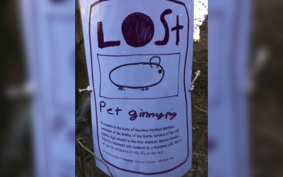 A Street poster that reads "lost pet ginny pig"