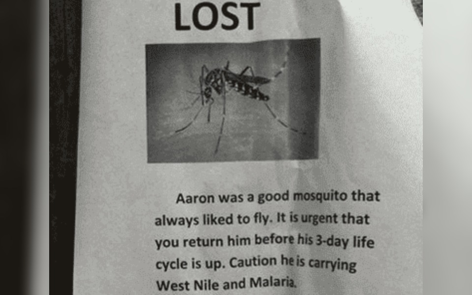 A street poster looking for a mosquito