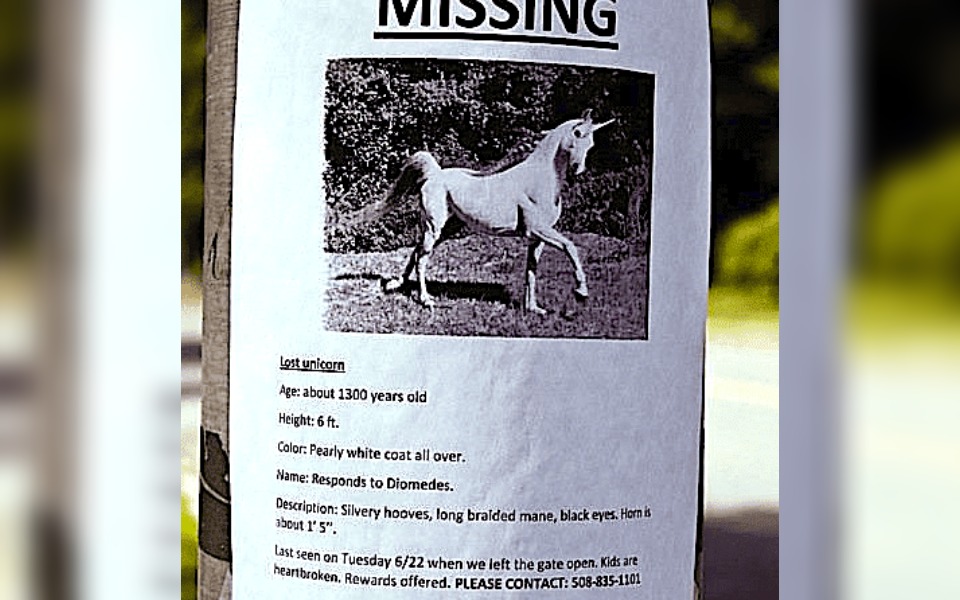 Unicorn- The Rare Mythical Beast
