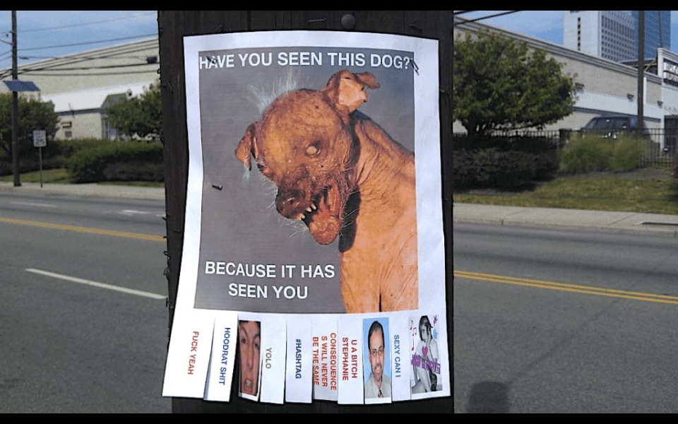 The Fireless Hell Hound with Single Head
