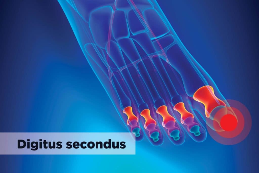 Digitus Secondus