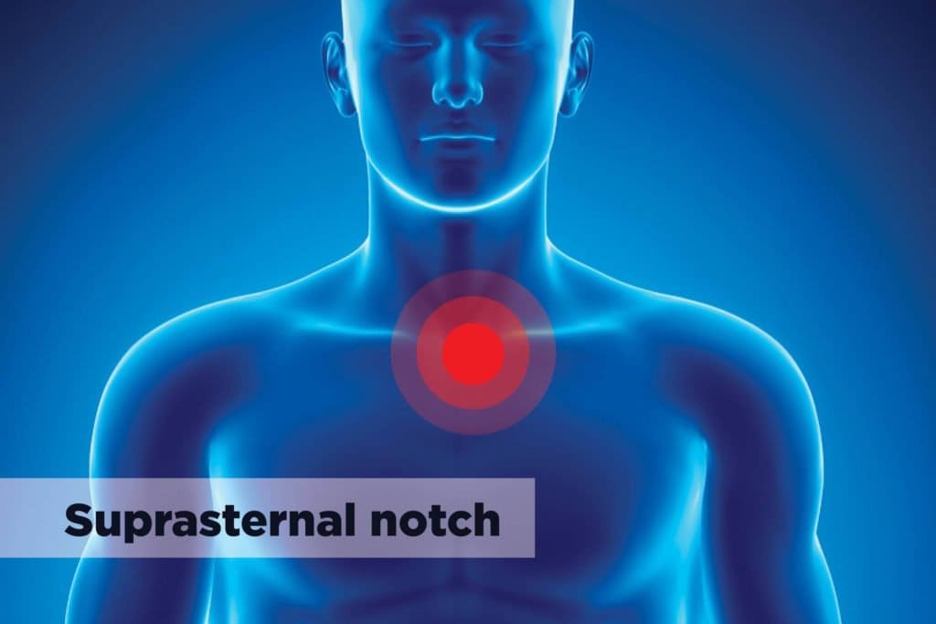 Suprasternal Notch