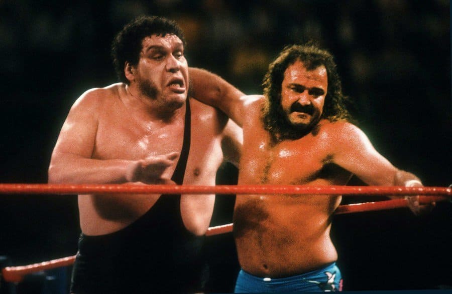Andre the Giant and Jake the Snake in the ring in 1987.