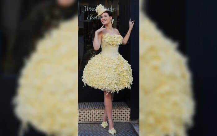 Women in a funny wedding dress