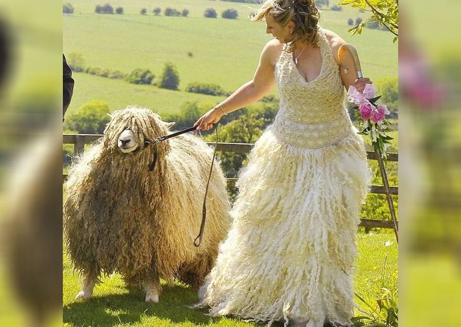 A bride and a lamb