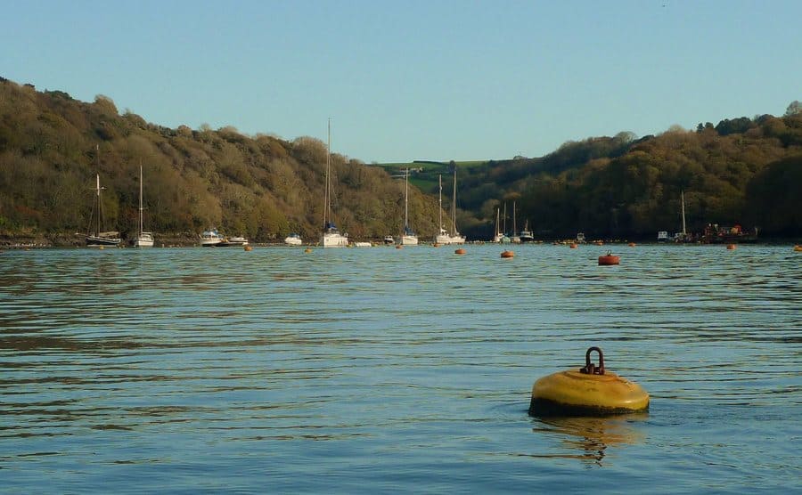 A buoy floating in a lake