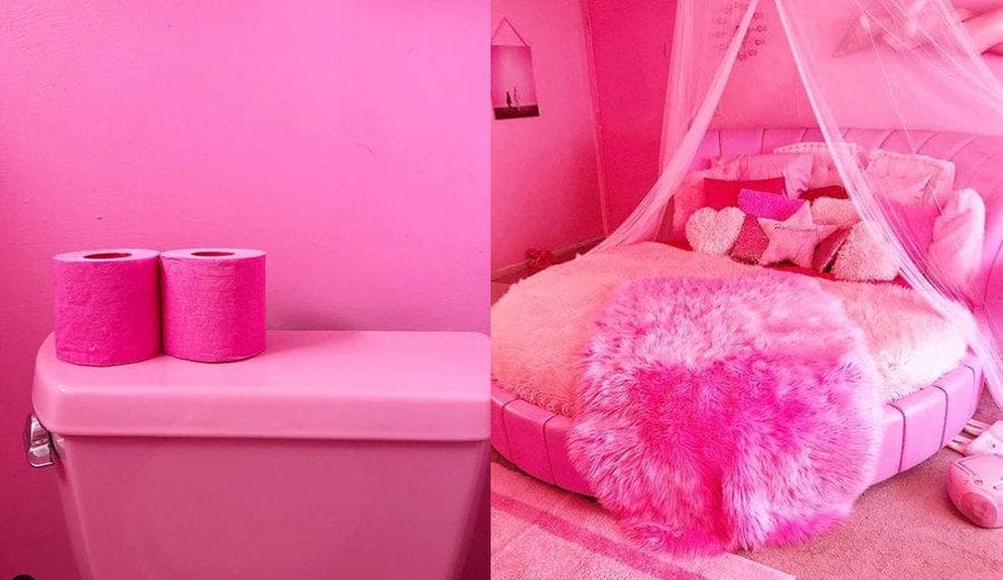 Kitten Kay Sera's all pink bed and her pink toilet with pink toilet paper sitting on it. 