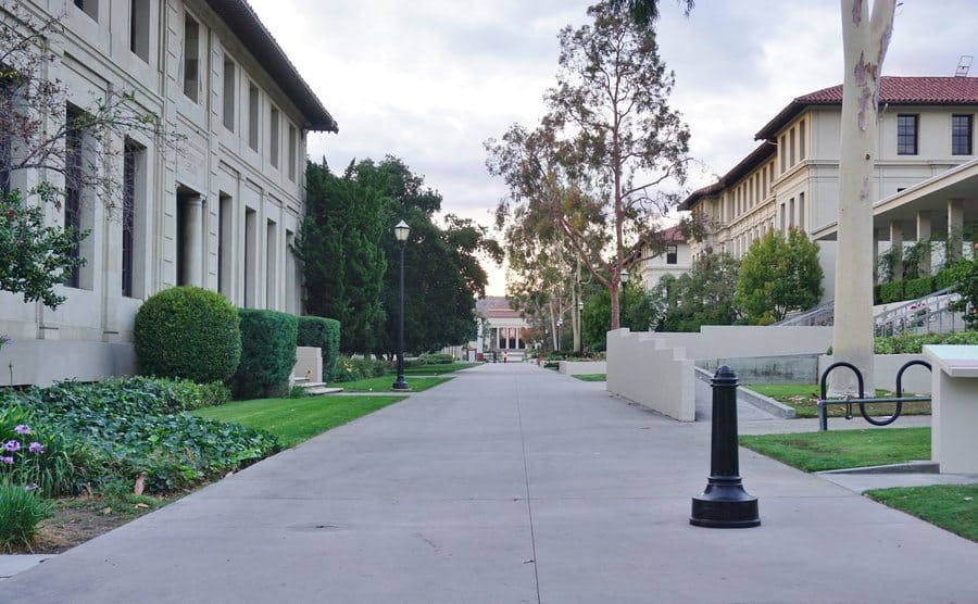 Occidental College 