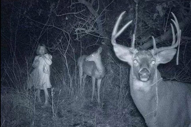 Two deers and a child in the woods