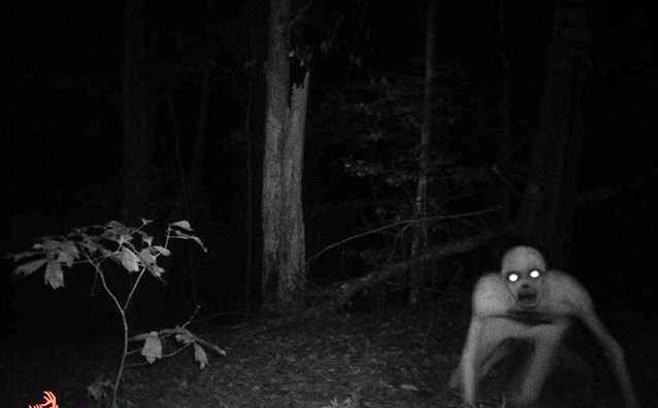 A scary creature in the woods