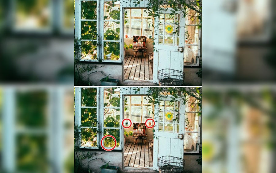 Garden Room with circles highlighting differences from the original image