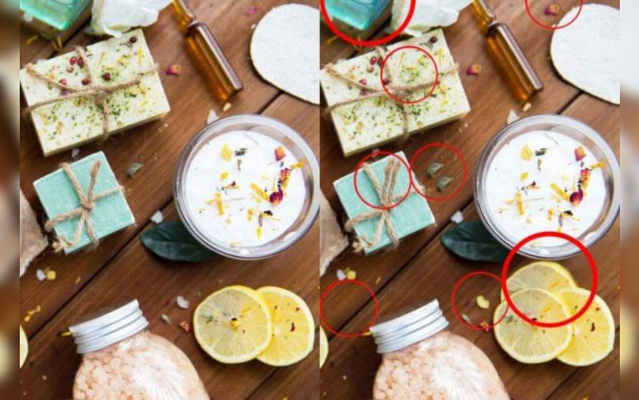 Homemade Soap with circles highlighting differences from the original image