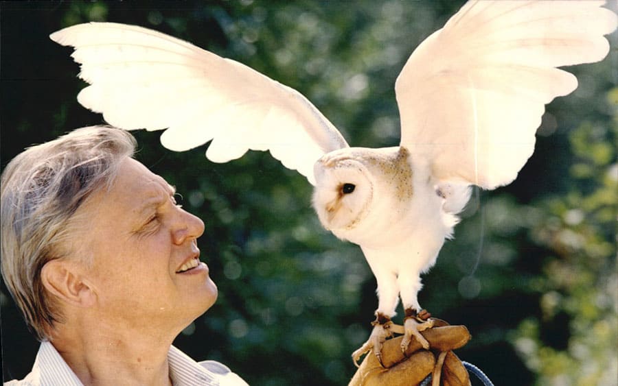 Sir David Attenborough With Spook The Barn Owl