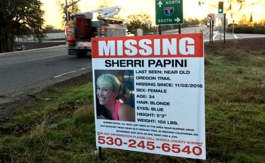 A missing sign of Sherri Papini standing near a road