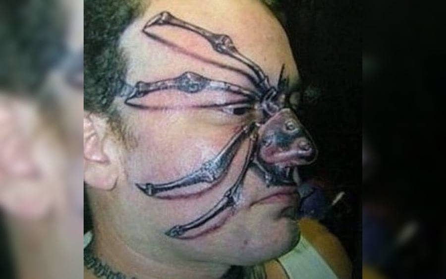 A tattoo of a spider on a guy's face