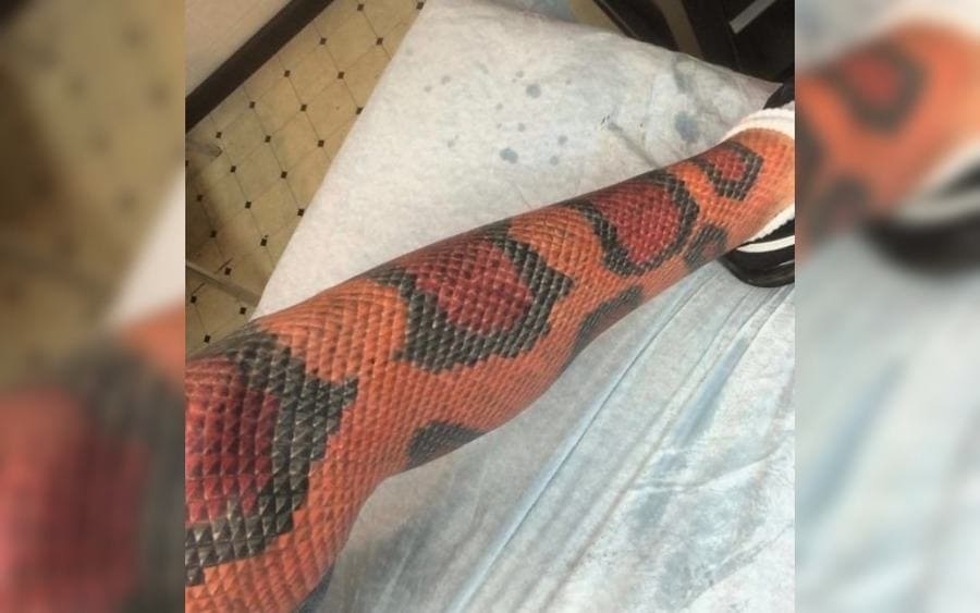 A tattoo of a snake on a guy's arm