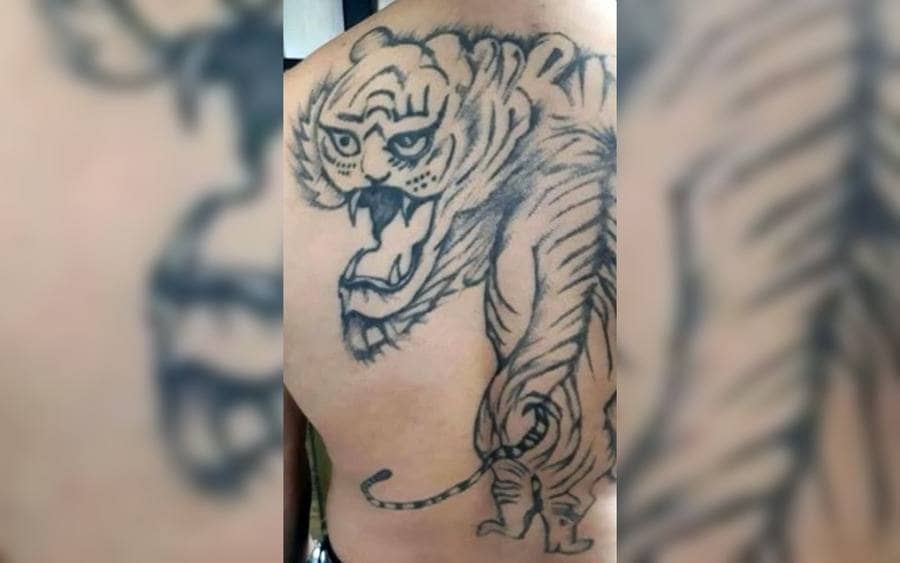 A tattoo of a lion on a guy's back