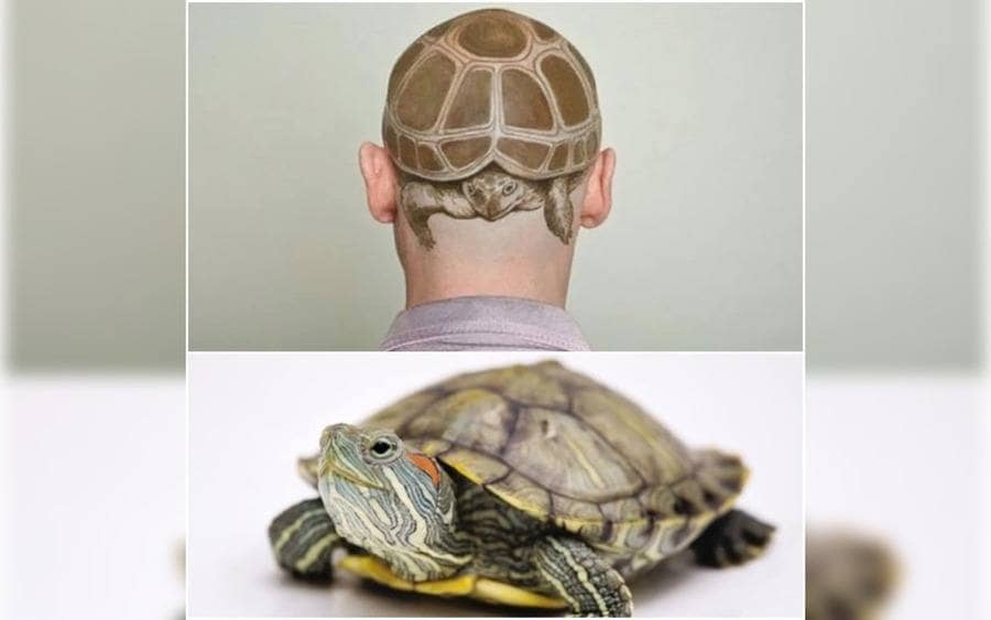 A tattoo of a turtle on a guy's head