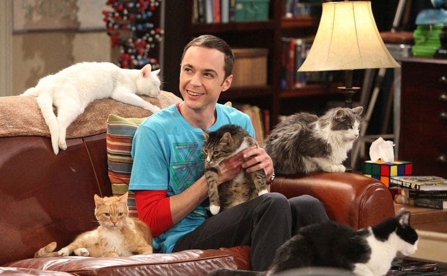 Jim Parsons playing with cats while sitting in his spot on the brown leather couch of the set of The Big Bang Theory