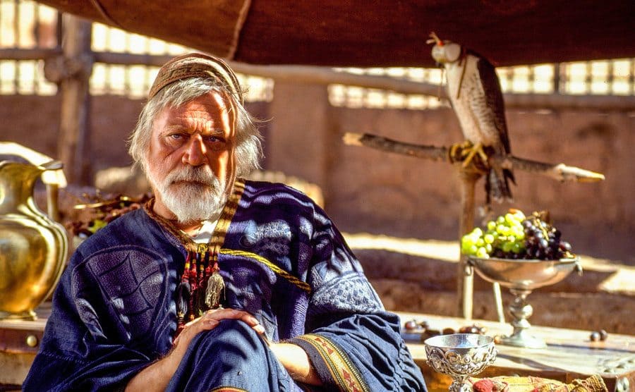 Oliver Reed sitting at a table next to a bowl of grapes and a bird