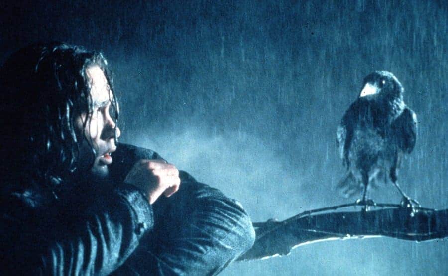 Brandon Lee talking to a crow on a tree branch in the rain