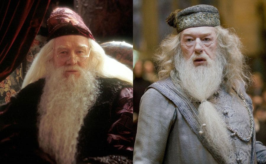 Richard Harris as Dumbledore on the left and Michael Gambon as Dumbledore on the right