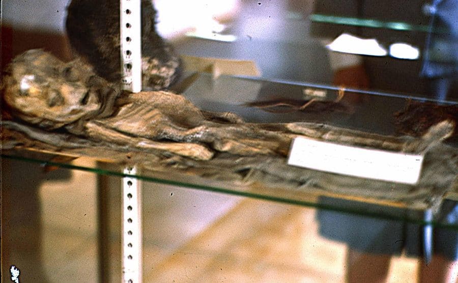 The picture is showing the ‘alien.’