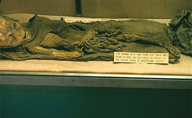 A clear photograph of the ‘alien’ body with a place card informing it is a 2-year-old boy.