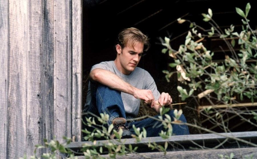 James Van Der Beek playing with a stick sitting in a barn