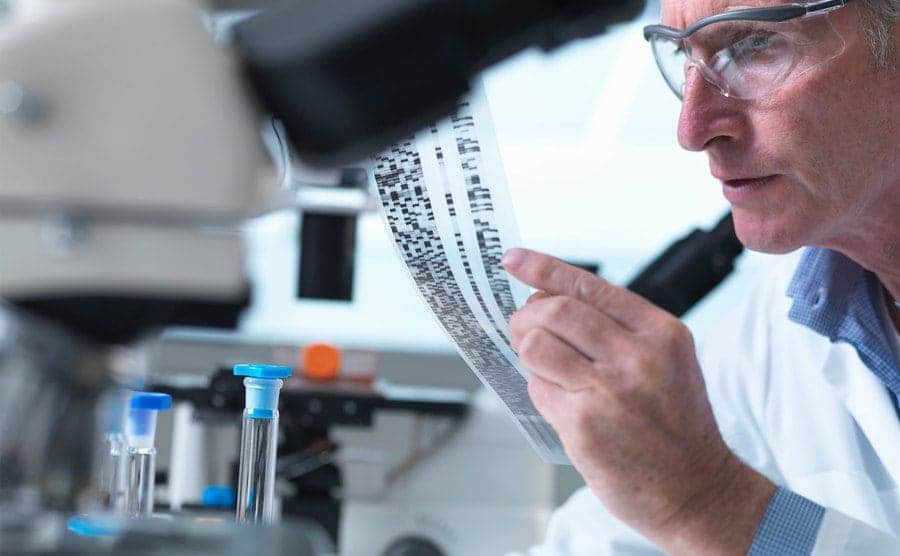 A researcher is holding a DNA gel during a genetic experiment in a laboratory