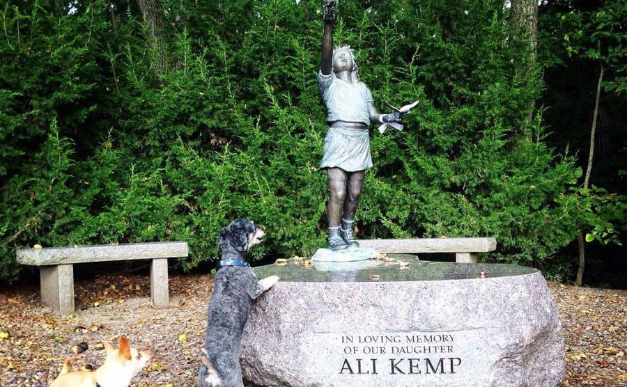 Two dogs are playing by a statue in the park in memory of Ali Kemp.