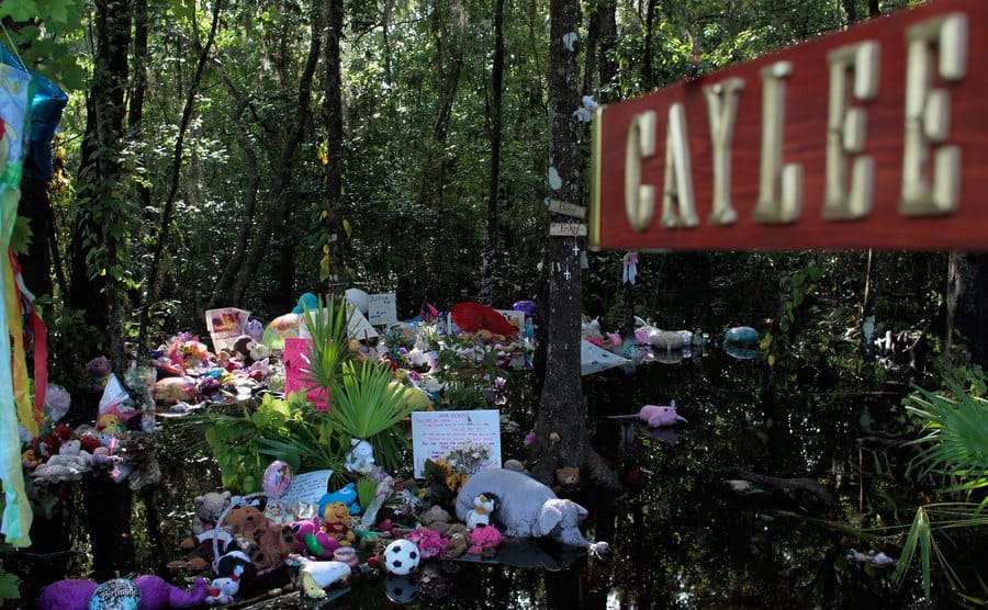 Stuffed toys and other items are placed at the Caylee Anthony memorial.