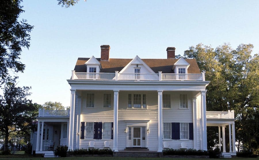 A view to the plantation in a publicity still from