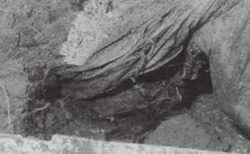A view of the yard where the body was buried.
