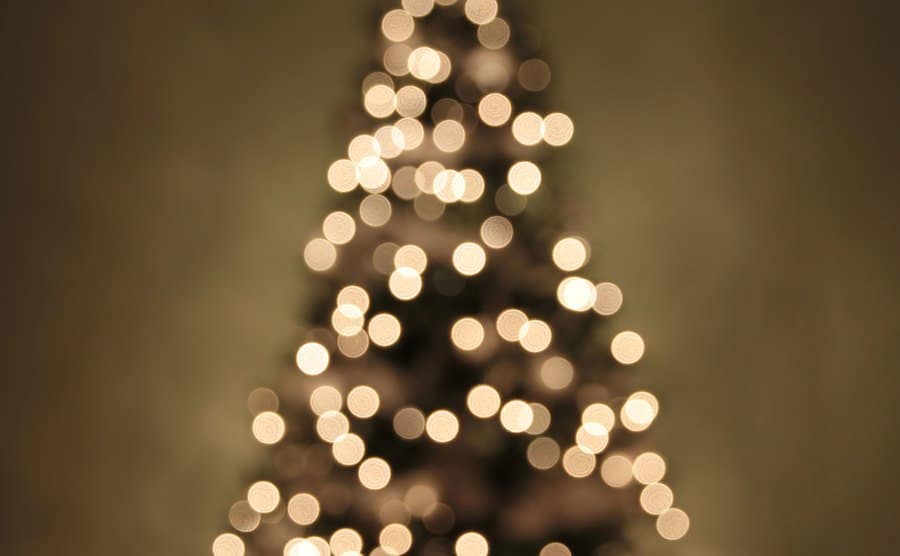 A view of Christmas tree lights.