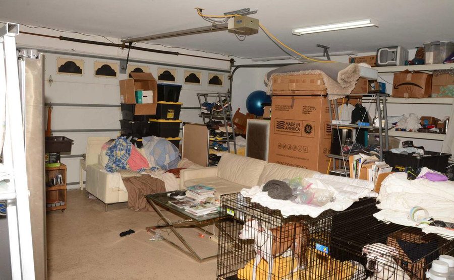 A photo of the garage with the couch and the dogs.