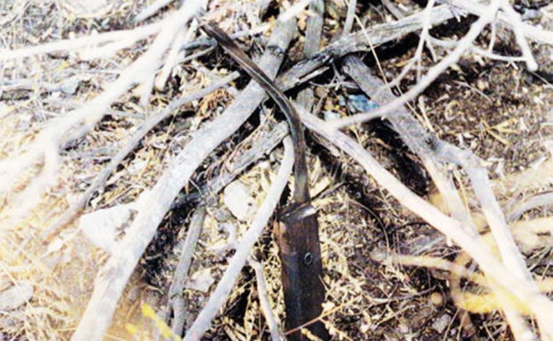 The knife found used on Katy and Krystal was found at the scene of the crime. 