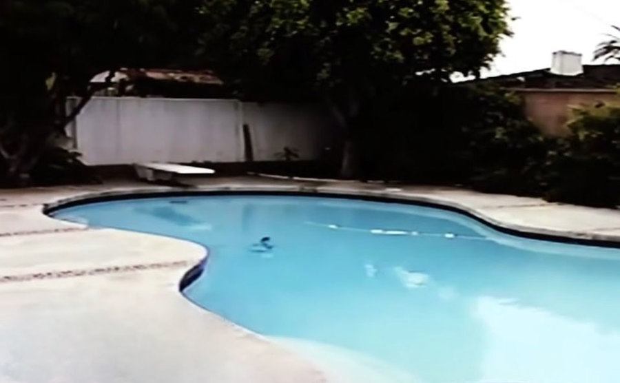 A picture of the crime scene.