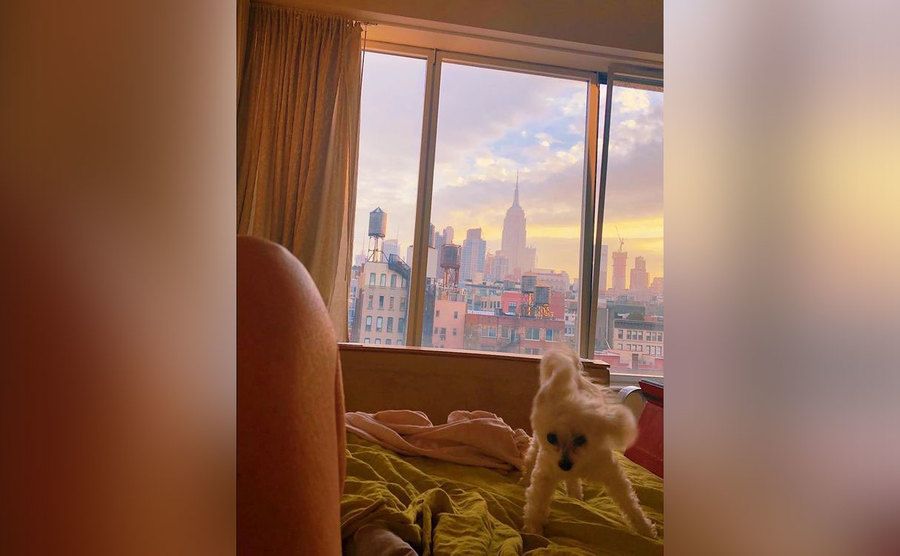 Sarandon posts a photo of her dog and the view from her bedroom.