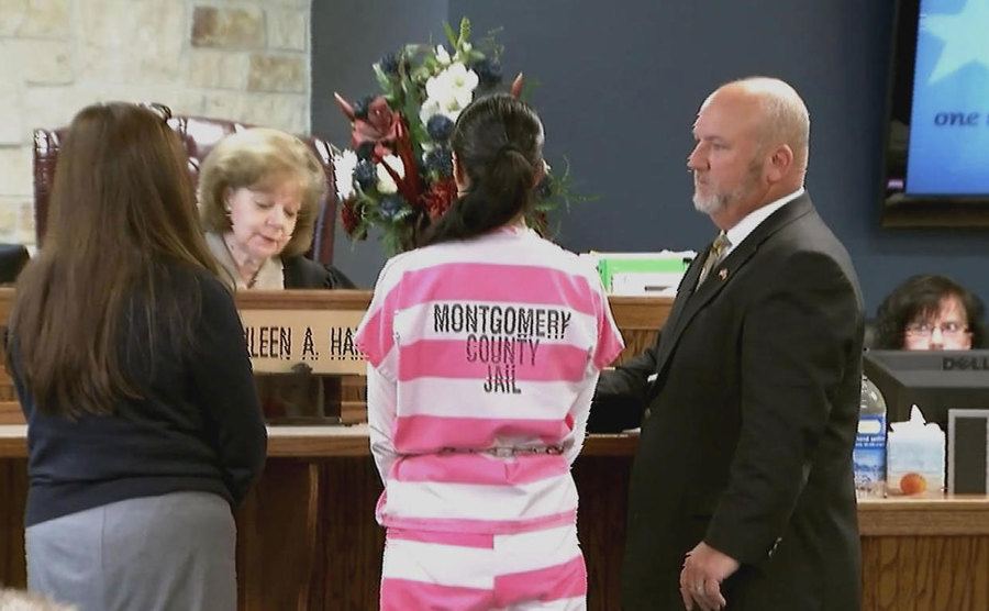 An image of Lulu standing in court.