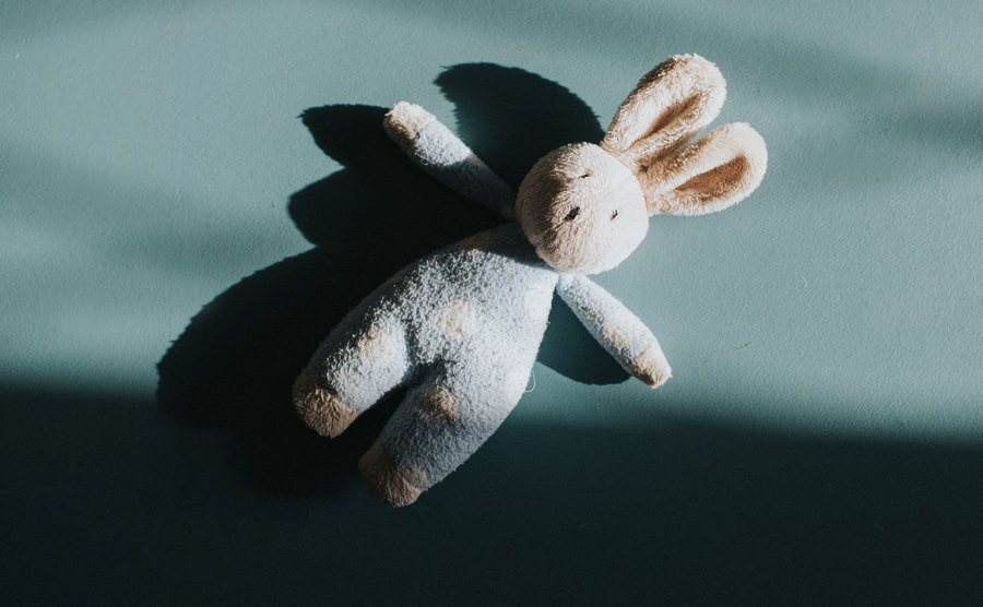 A teddy bear is illuminated by light in the shadows.