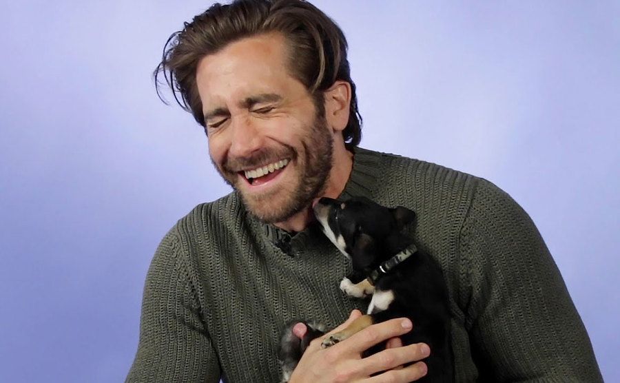Puppies are licking Jake Gyllenhaal of the face.