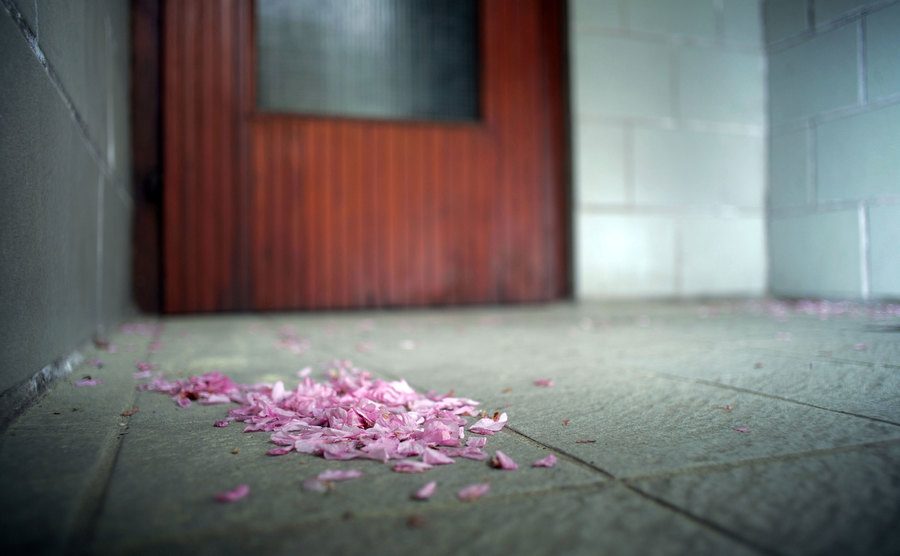 A photo of cherry blossoms on the doorway floor of the Fritzl house.