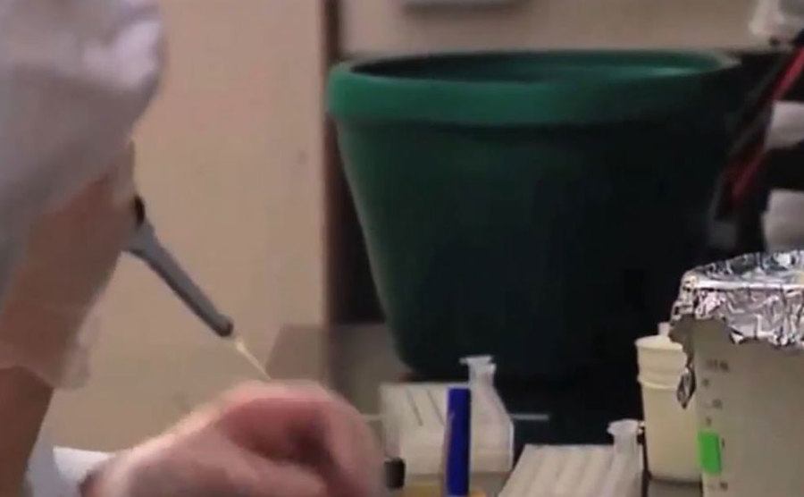 A still from a DNA laboratory.