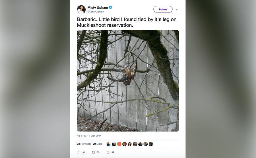 Misty Upham’s final tweet.