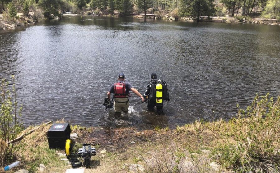 An image of Suzanne’s search.